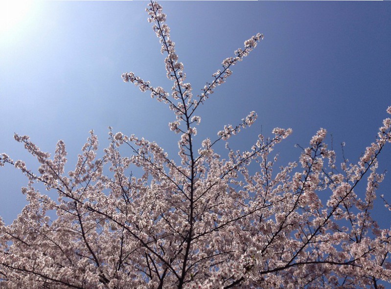 明日に備えて