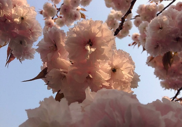 4月